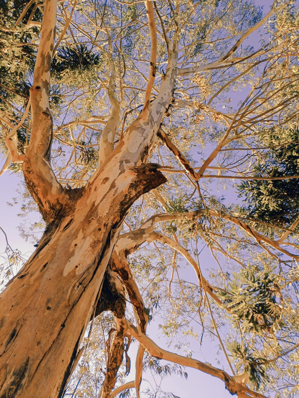 Building Education Universities