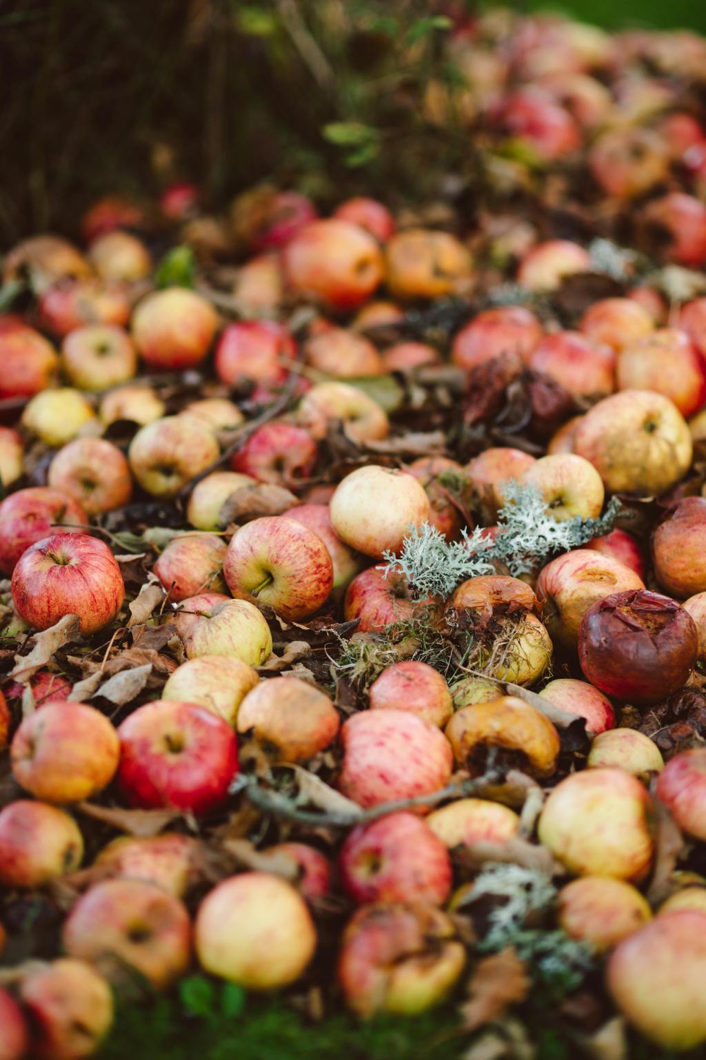 Sparking the Higher Integrity&nbsp;Economy